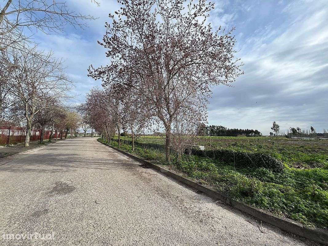 Terreno  para venda - Grande imagem: 4/8