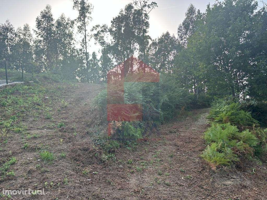 Quintinha, Goães - Grande imagem: 3/21