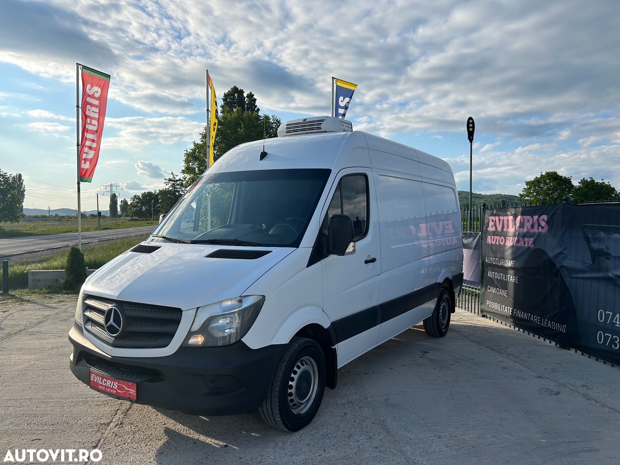 Mercedes-Benz Sprinter FRIGORIFIC THERMO KING CONGELARE - 32