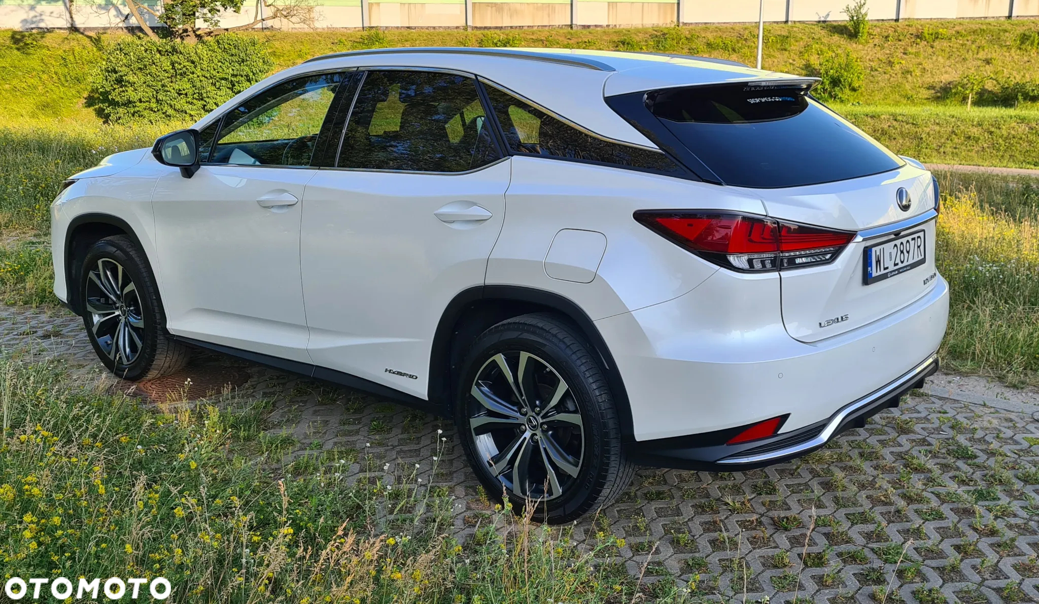 Lexus RX 450h F-Impression - 3