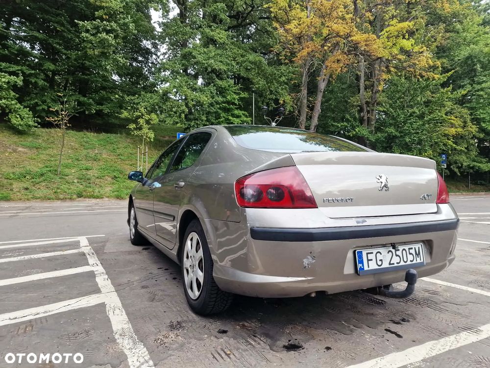 Peugeot 407 - 4