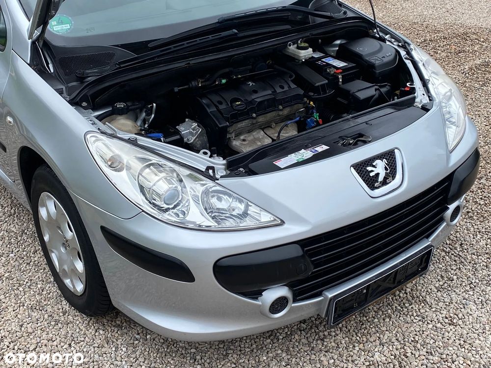 Peugeot 307 110 Tendance - 17