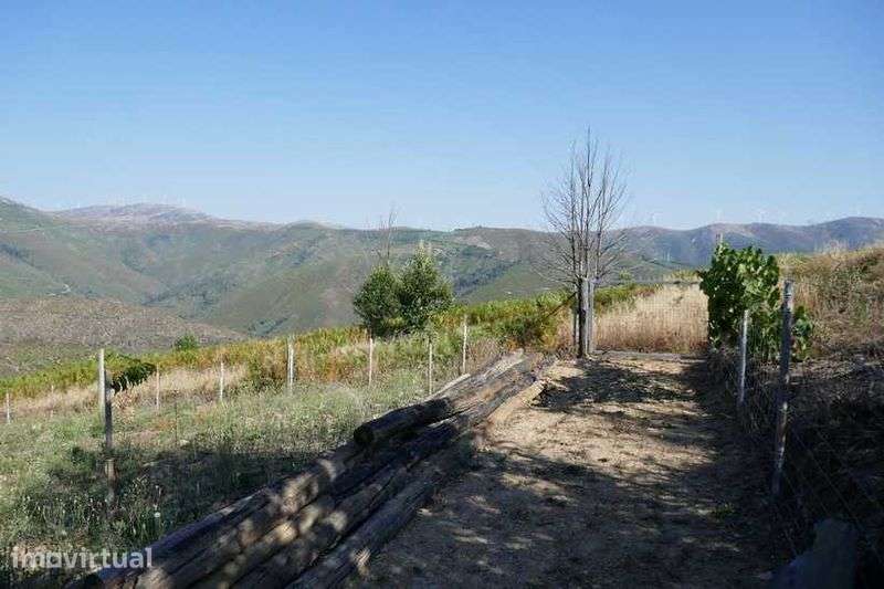 Terreno de 2600 m2 com vista de encantar - Grande imagem: 2/12