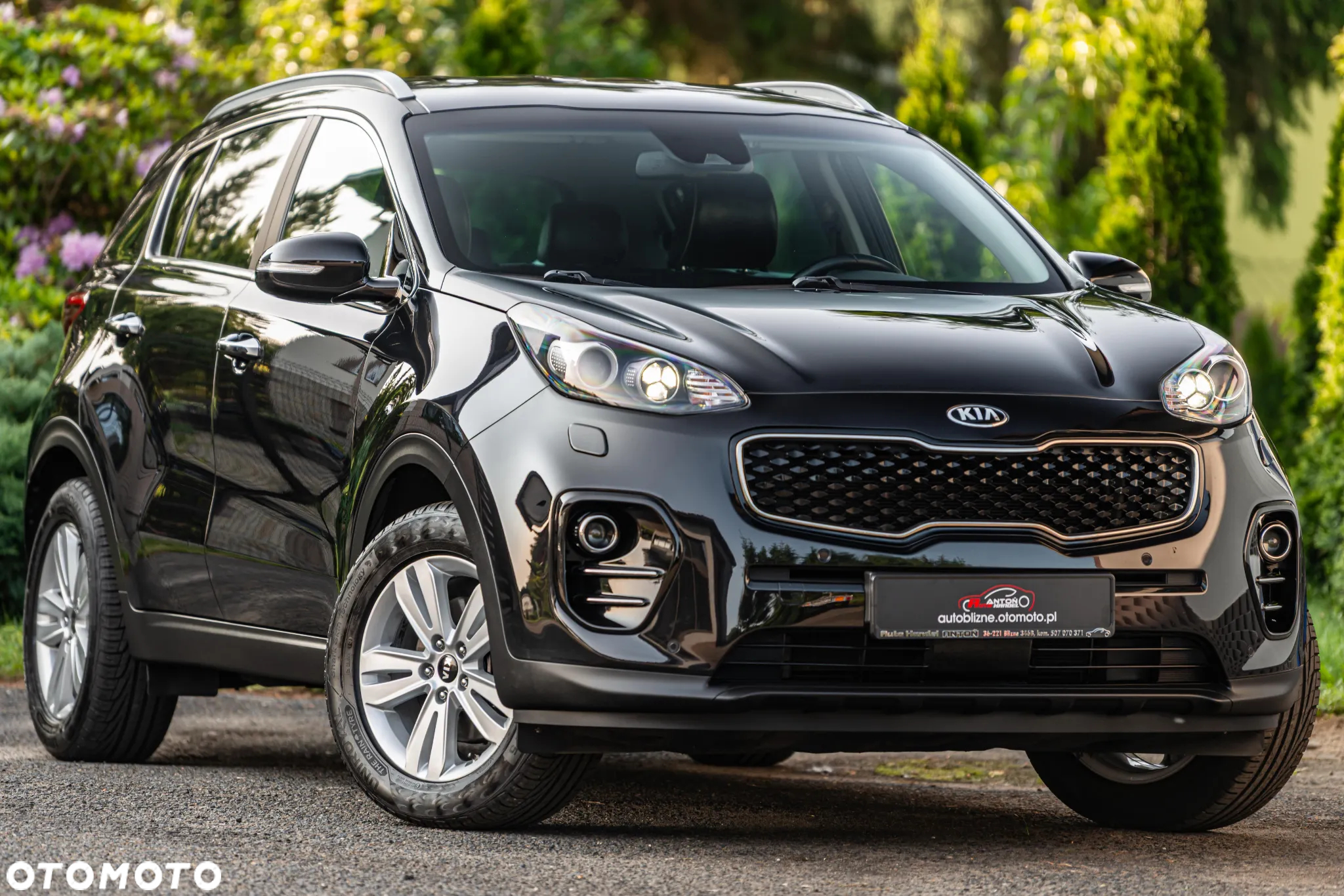 Kia Sportage 1.6 GDI 2WD VISION - 13