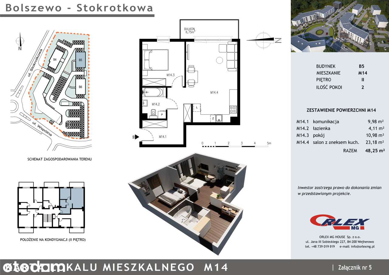Bolszewo Stokrotkowa