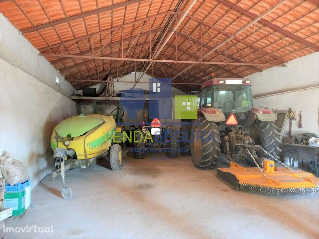 Terreno Agrícola com armazém | Pias - Grande imagem: 3/24