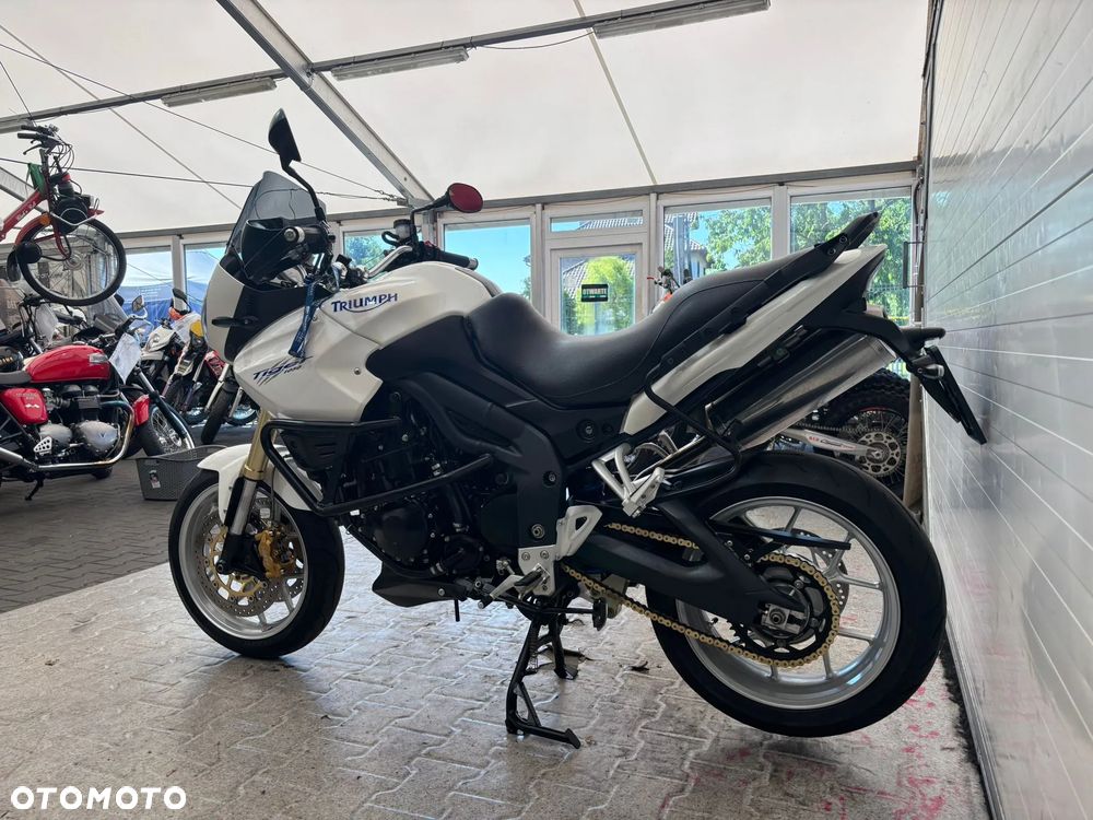 Triumph Tiger - 19