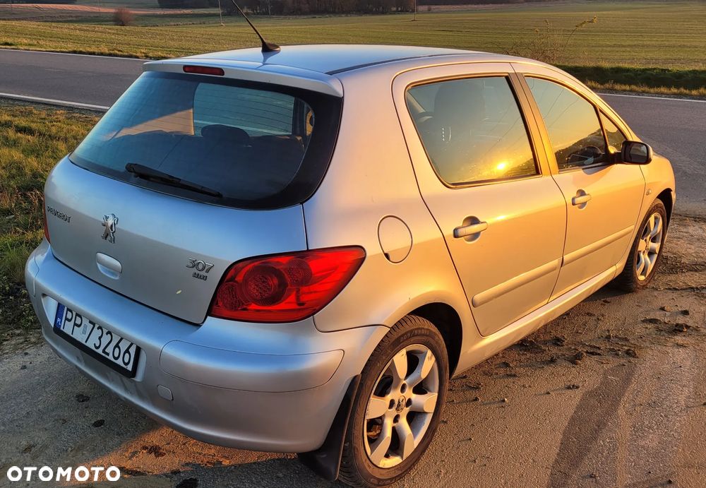 Peugeot 307 - 9