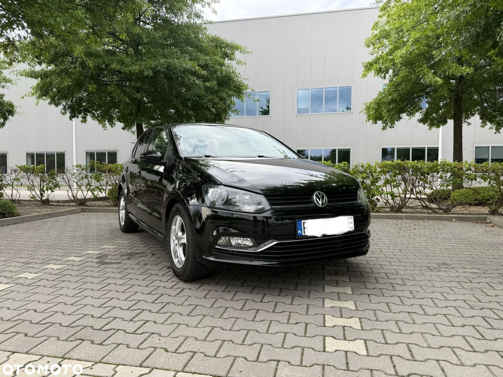 Volkswagen Polo - 1