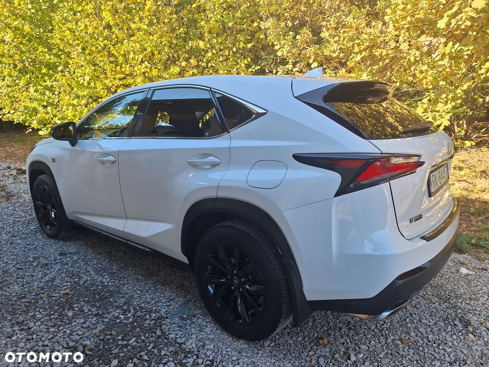 Lexus NX - 5