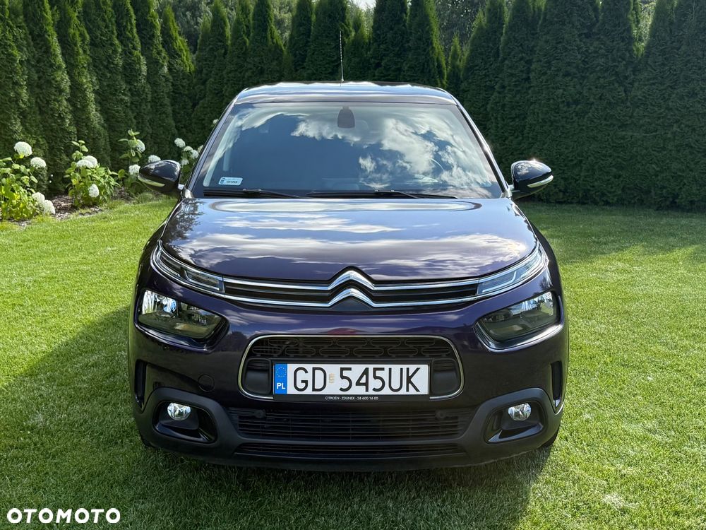 Citroën C4 Cactus PureTech 110 Stop&Start EAT6 Shine - 20