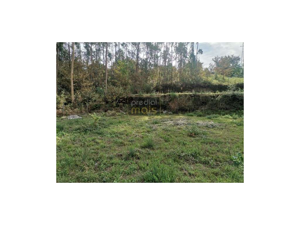 Terreno - Castelões - Grande imagem: 4/6