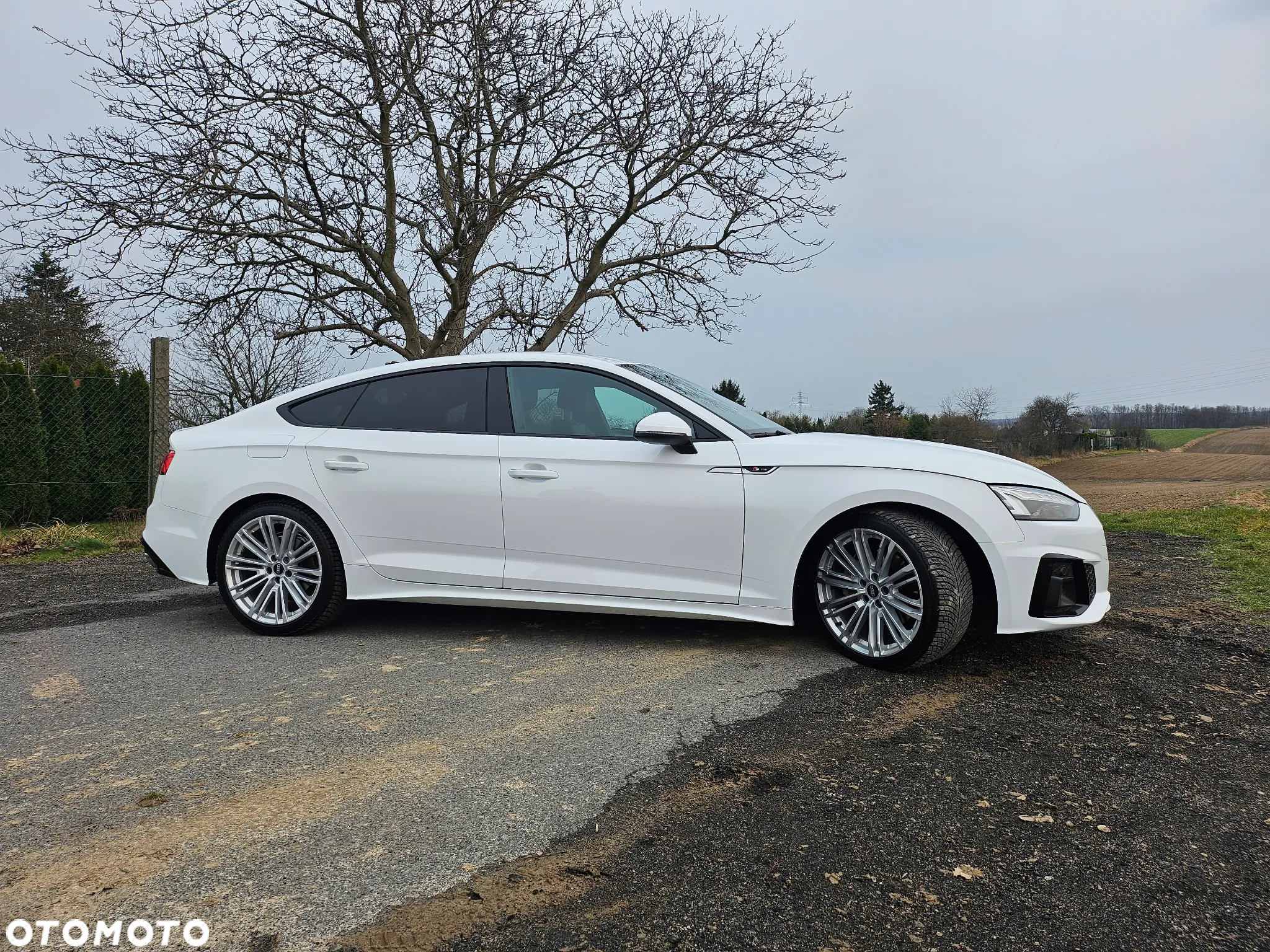 Audi A5 40 TDI Quattro S Line S tronic - 9