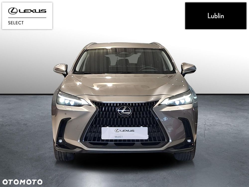 Lexus NX 350h Prestige AWD - 8