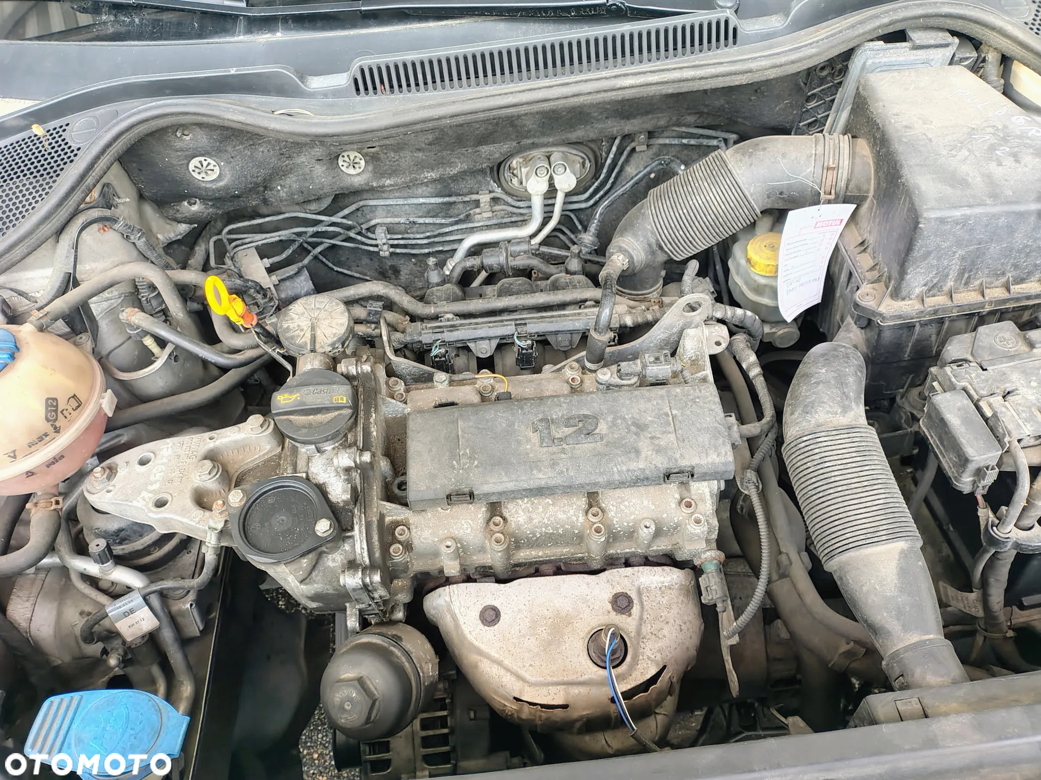 Volkswagen Polo - 8