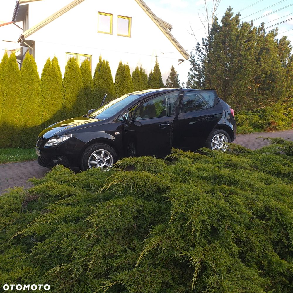 Seat Ibiza - 9