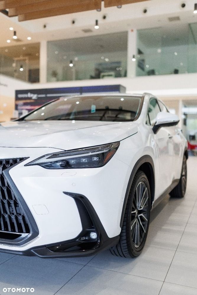 Lexus NX - 14