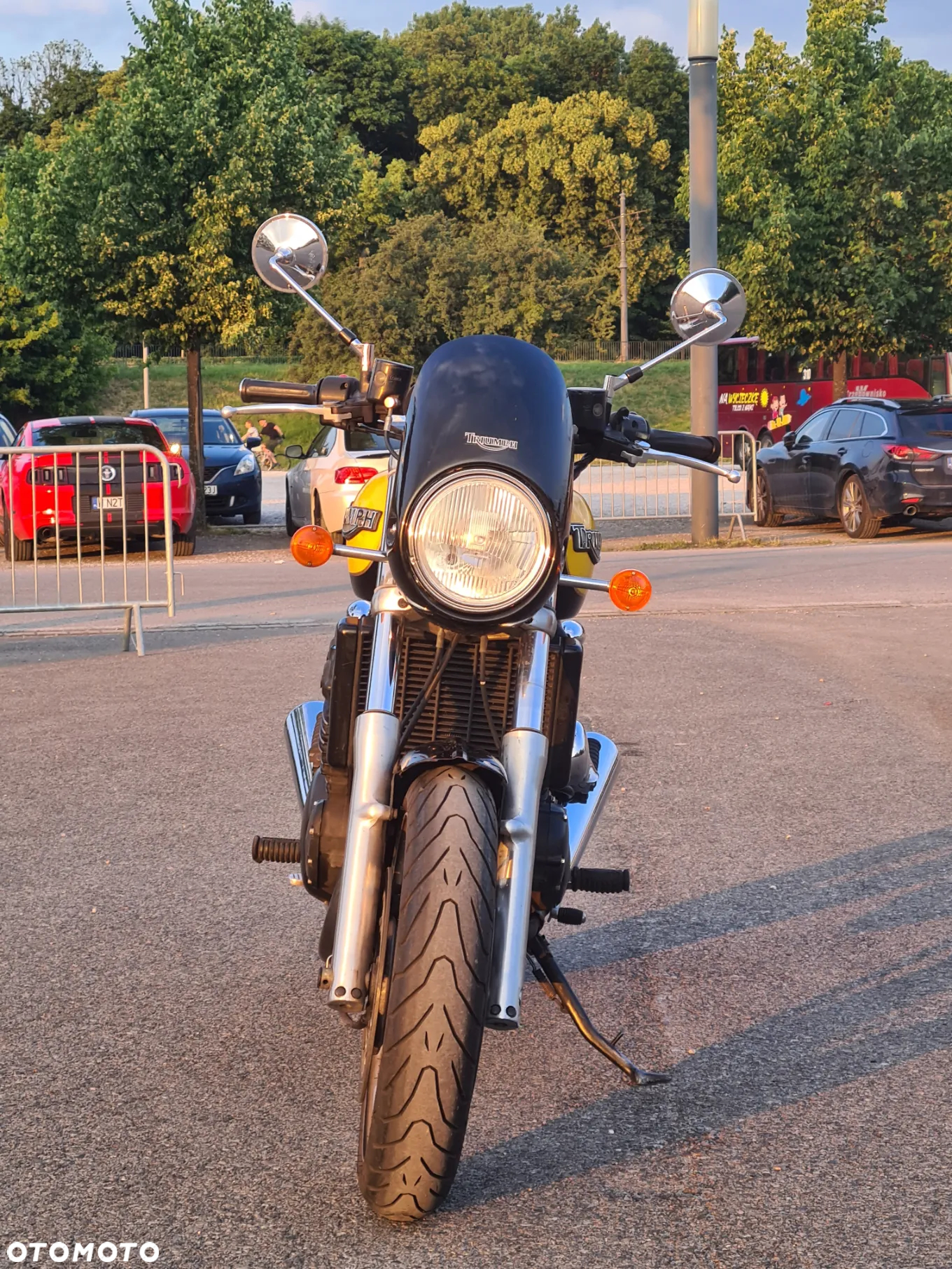 Triumph Thunderbird - 5