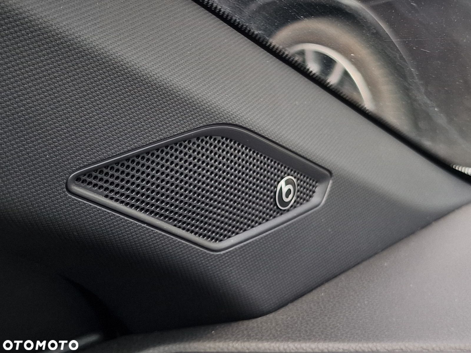 Volkswagen Polo 2.0 TSI GTI DSG - 33