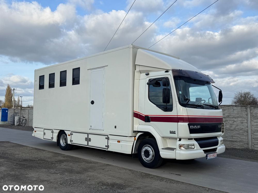 DAF LF 45.170 Koniowóz - 2