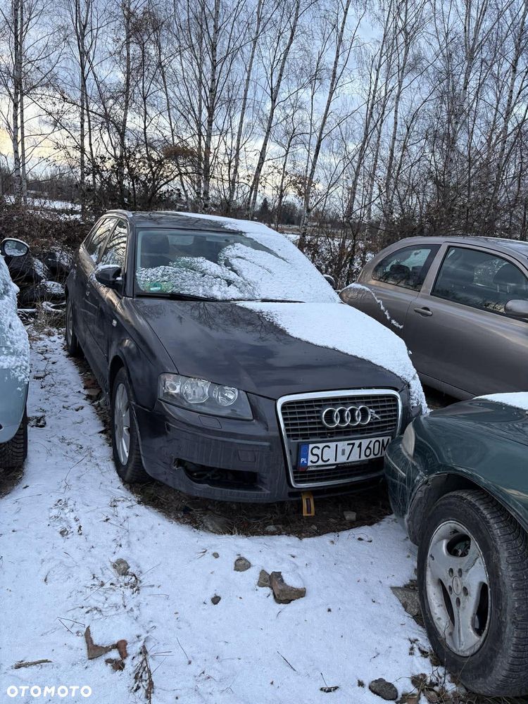 Używany Audi A3 Sportback 2006 - 6 900 PLN, 219 752 km - Otomoto.pl