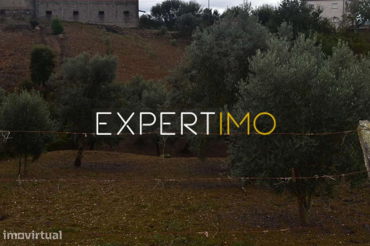 Terreno para construção - Grande imagem: 4/8