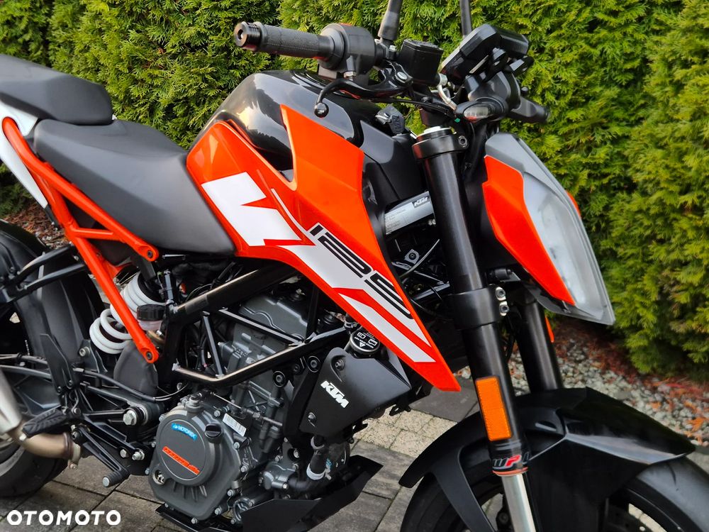 KTM Duke - 14