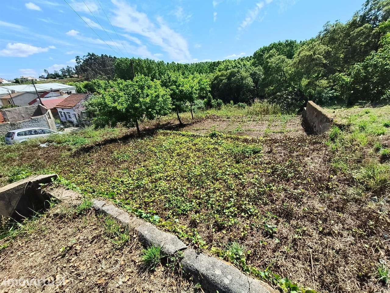 Terreno Rústico  Venda em Barrô e Aguada de Baixo,Águeda - Grande imagem: 4/23
