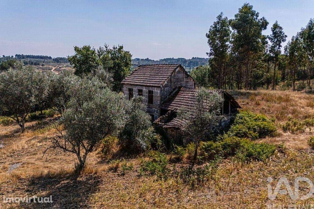 Quinta T4 em Moimenta de Maceira Dão e Lobelhe do Mato de 30000,00 m2 - Grande imagem: 4/24