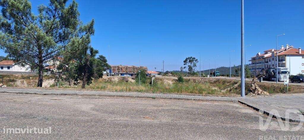 Terreno para construção em Vila de Rei - Grande imagem: 5/12