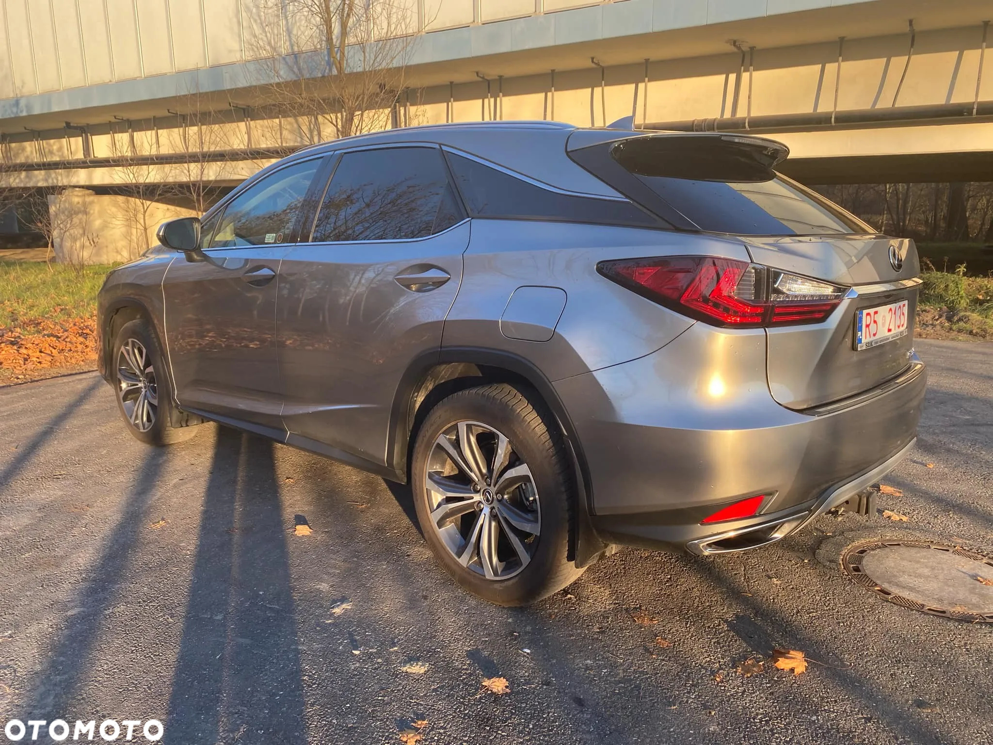 Lexus RX - 7