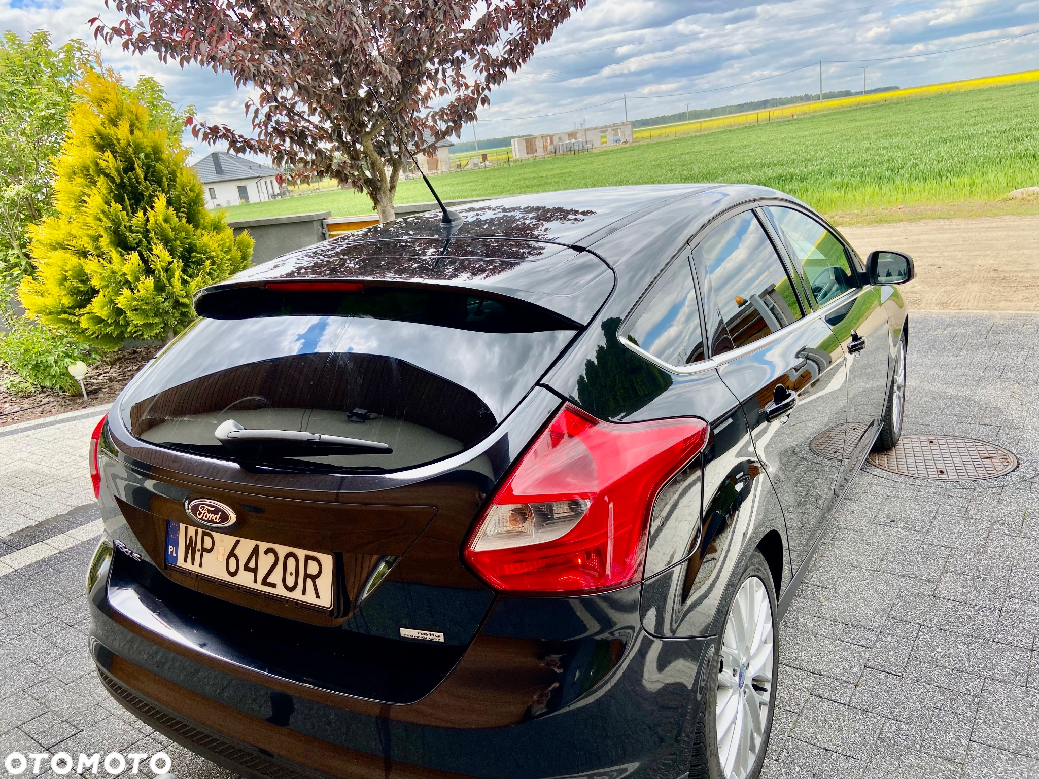 Ford Focus - 9