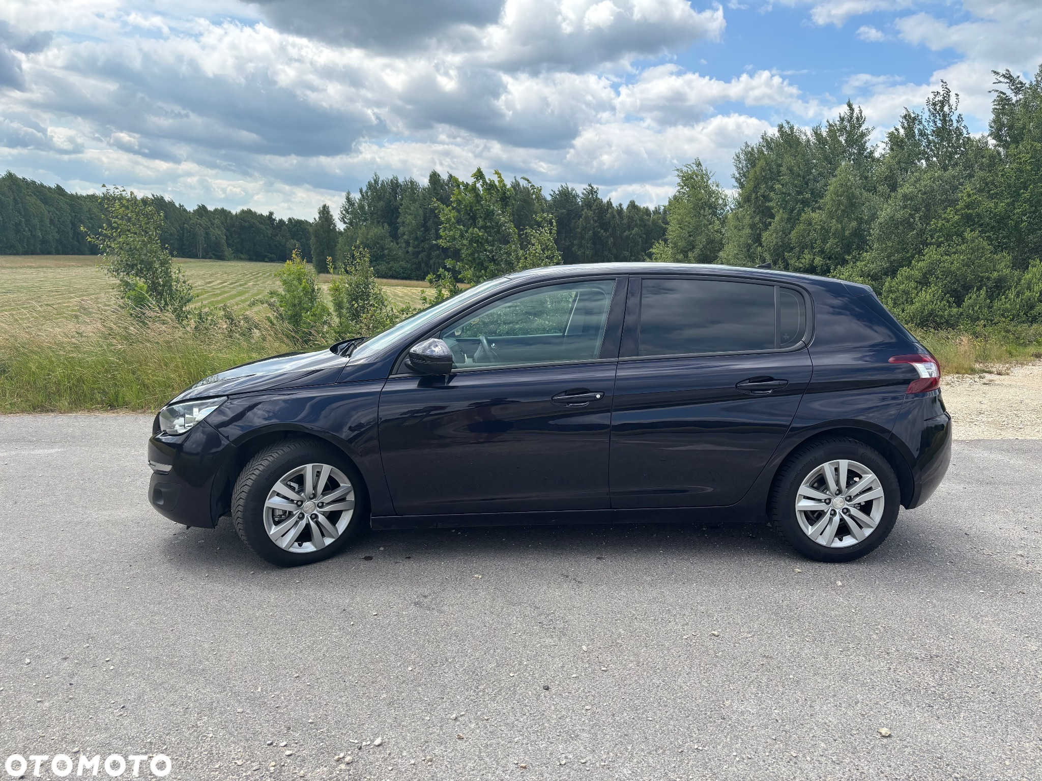Peugeot 308 1.6 e-HDi Active S&S - 8