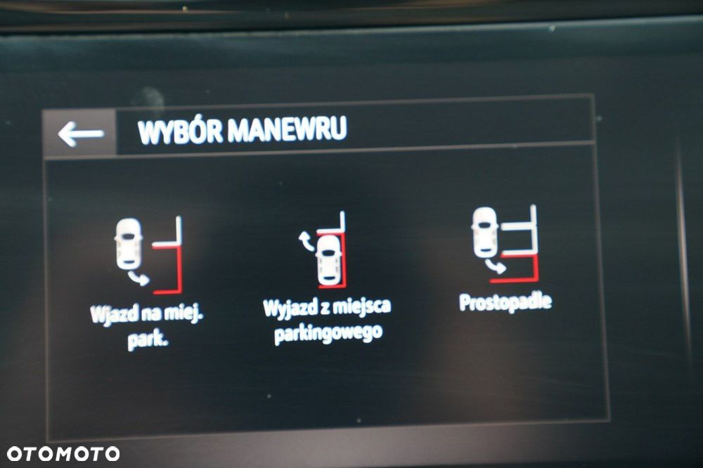 Opel Grandland X - 30