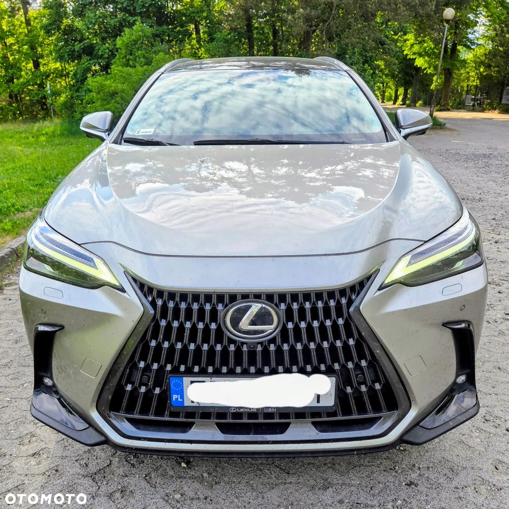 Lexus NX 350h Omotenashi AWD - 8