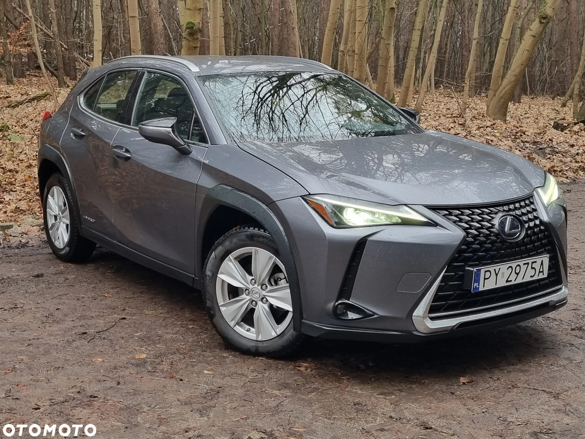 Lexus UX - 9