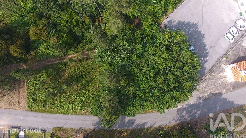 Terreno para construção em Lousã e Vilarinho de 814,00 m2 - Grande imagem: 2/19