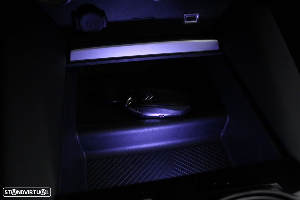 Citroën C5 X 1.6 Hybrid Shine Pack e-EAT8 - 30