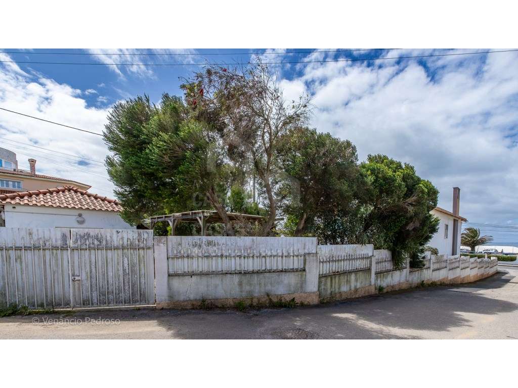 Vende Moradia T7 - Ericeira 6 Km, A Casa das Casas - Grande imagem: 4/4