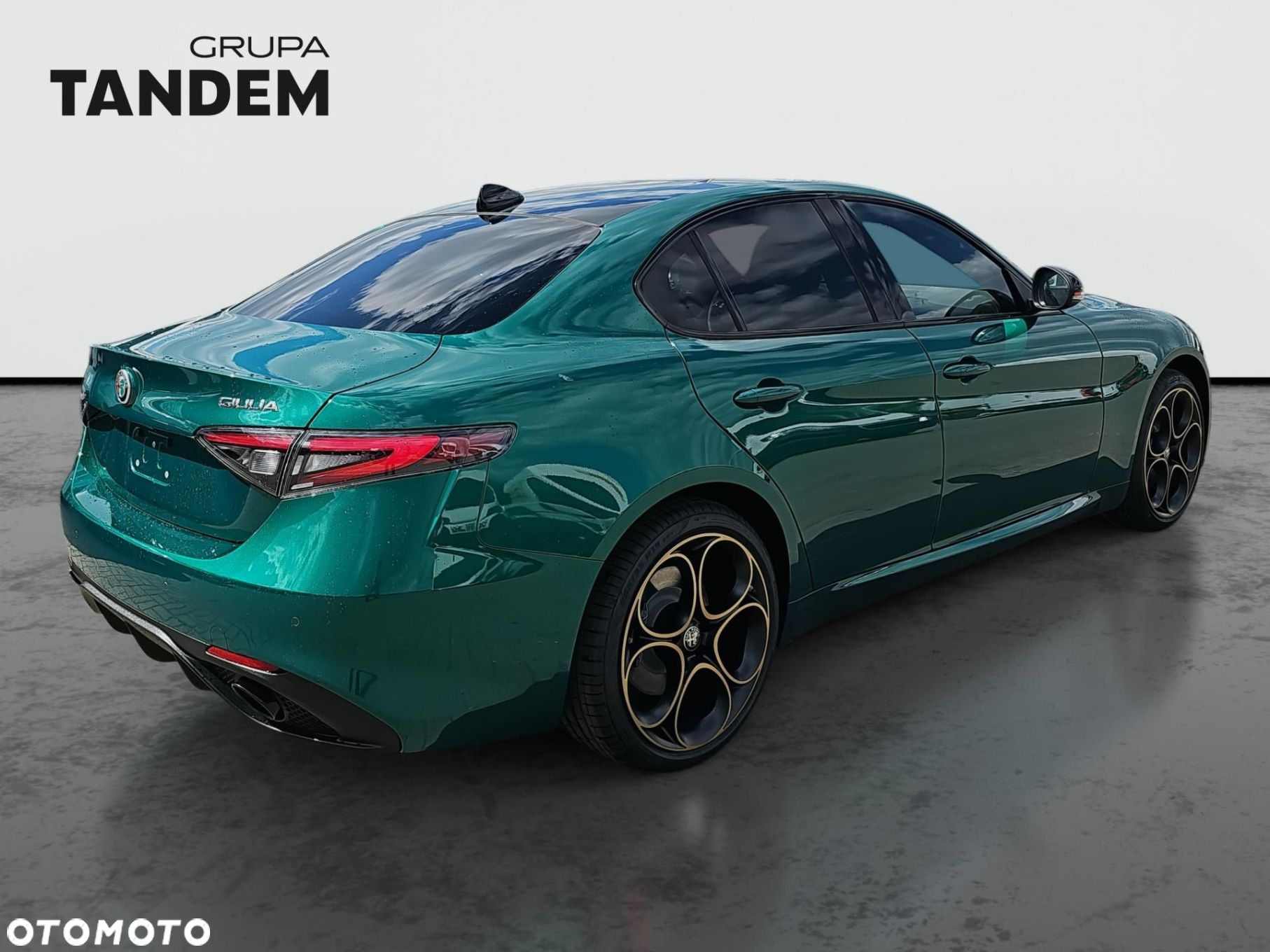 Alfa Romeo Giulia 2.0 Turbo Intensa Q4 - 5
