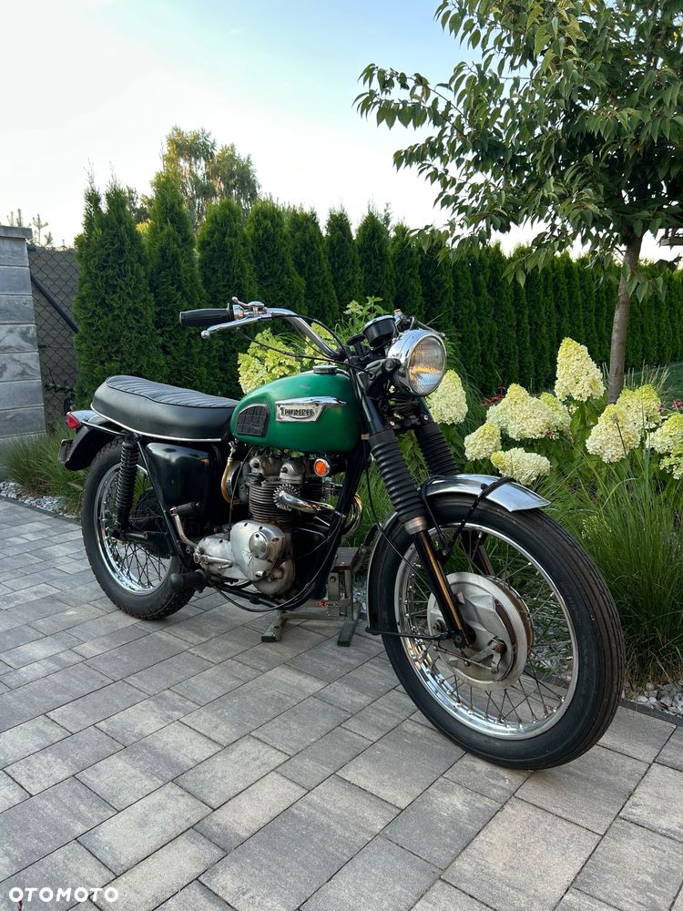 Triumph Trophy - 10