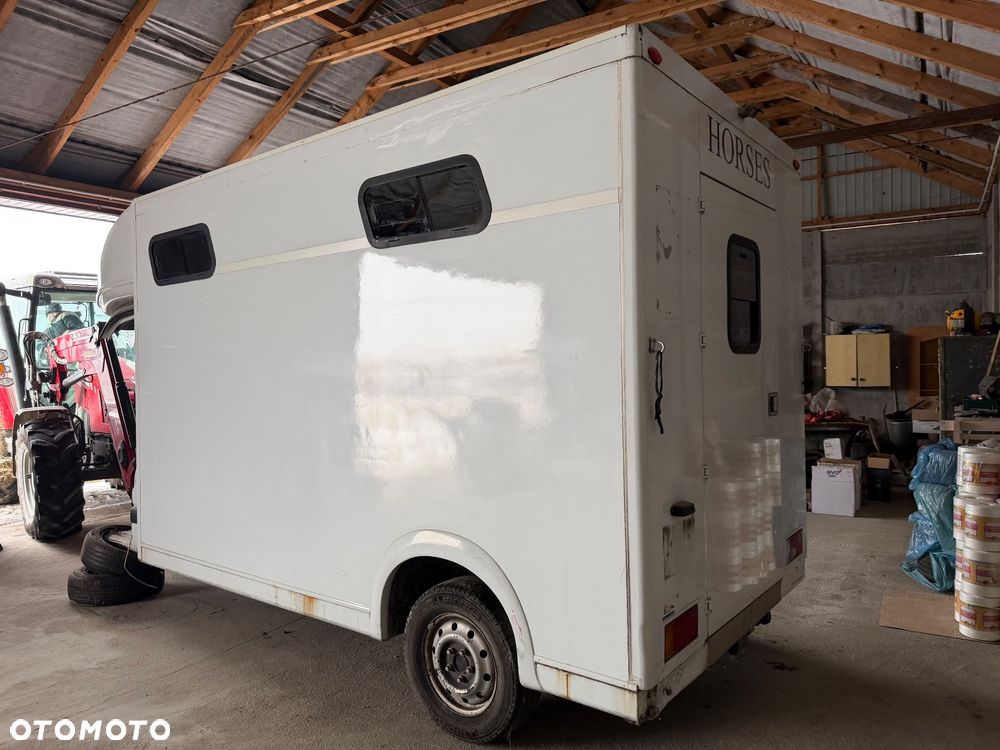 Renault Master, koniowóz - 7