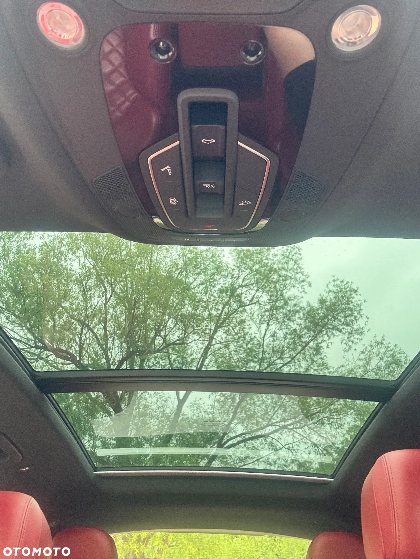 Audi SQ5 3.0 TFSI Quattro Tiptronic - 14