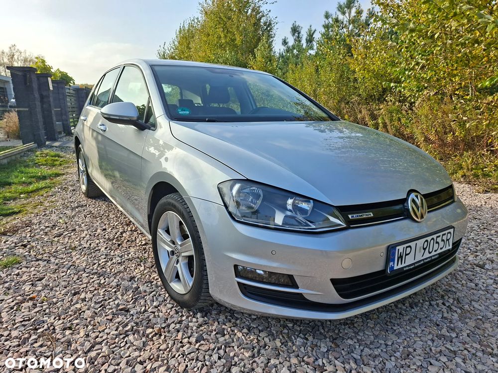 Volkswagen Golf - 29