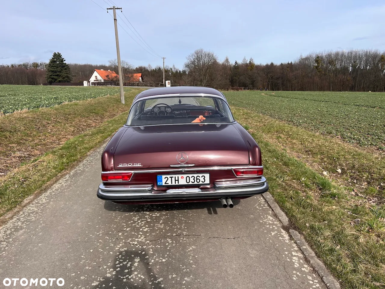 Mercedes-Benz Inny - 3