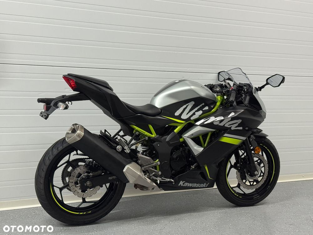 Kawasaki Ninja - 4
