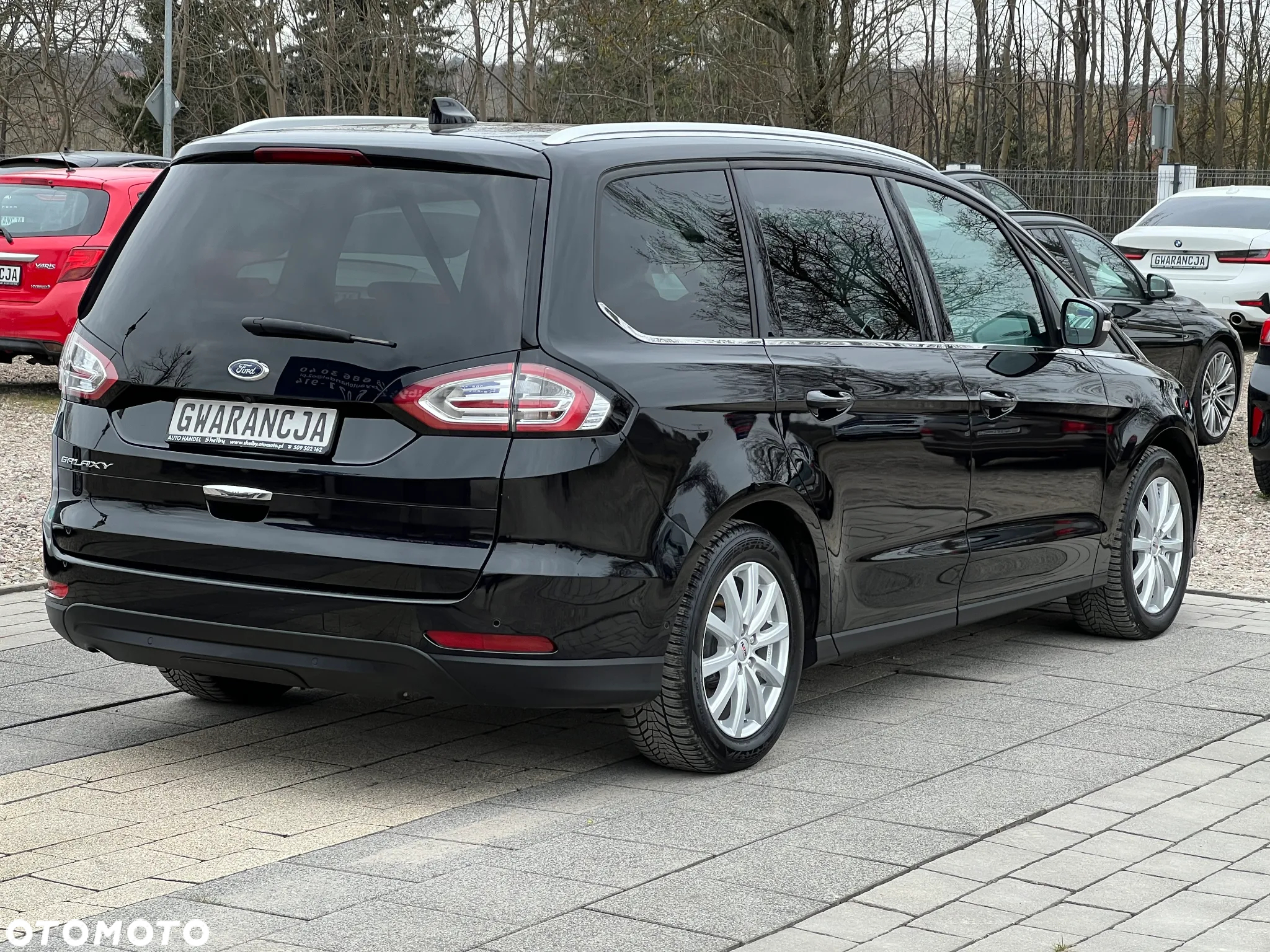 Ford Galaxy 2.0 EcoBlue S&S TITANIUM - 10