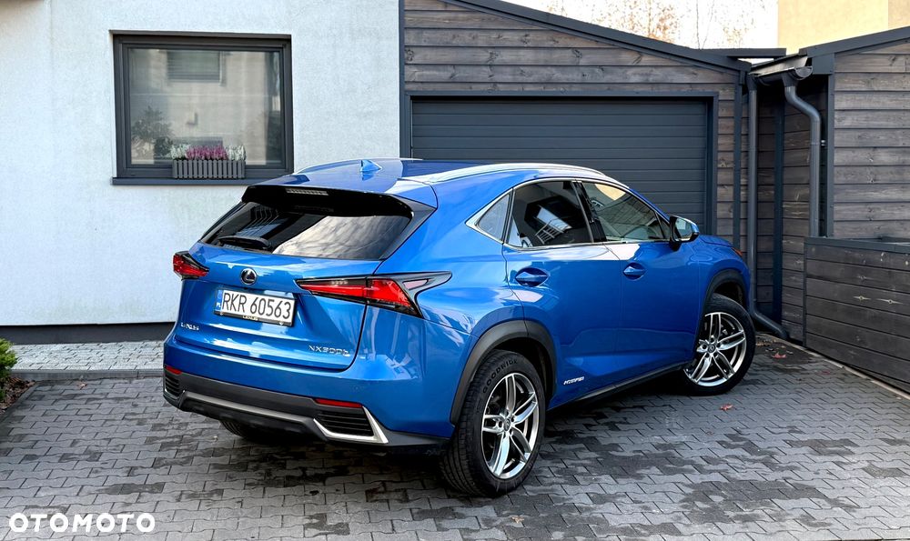 Lexus NX - 9