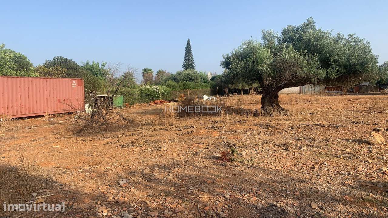 Terreno Agricola c/ 5580m2 - Grande imagem: 3/8