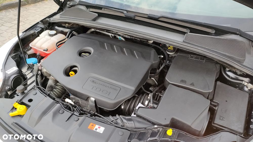 Ford Focus 1.6 TDCi DPF Champions Edition - 19